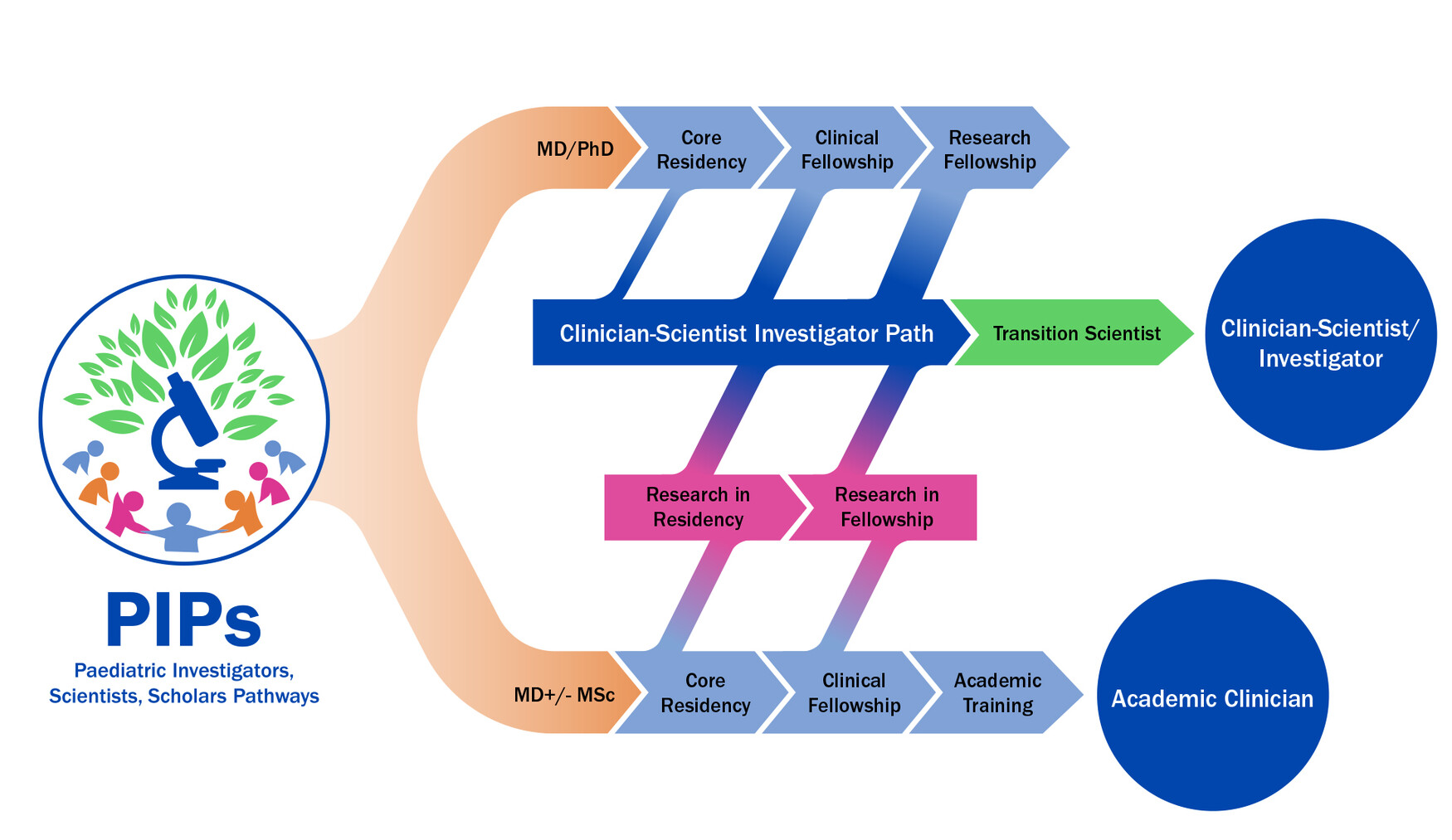 PIPs schema